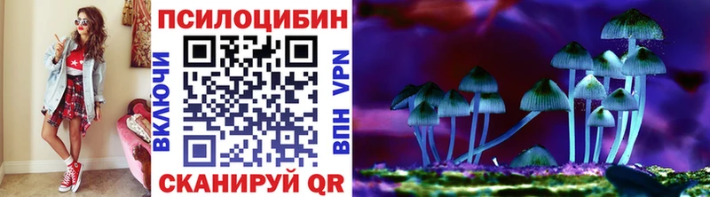 Псилоцибиновые грибы Psilocybine cubensis Голицыно